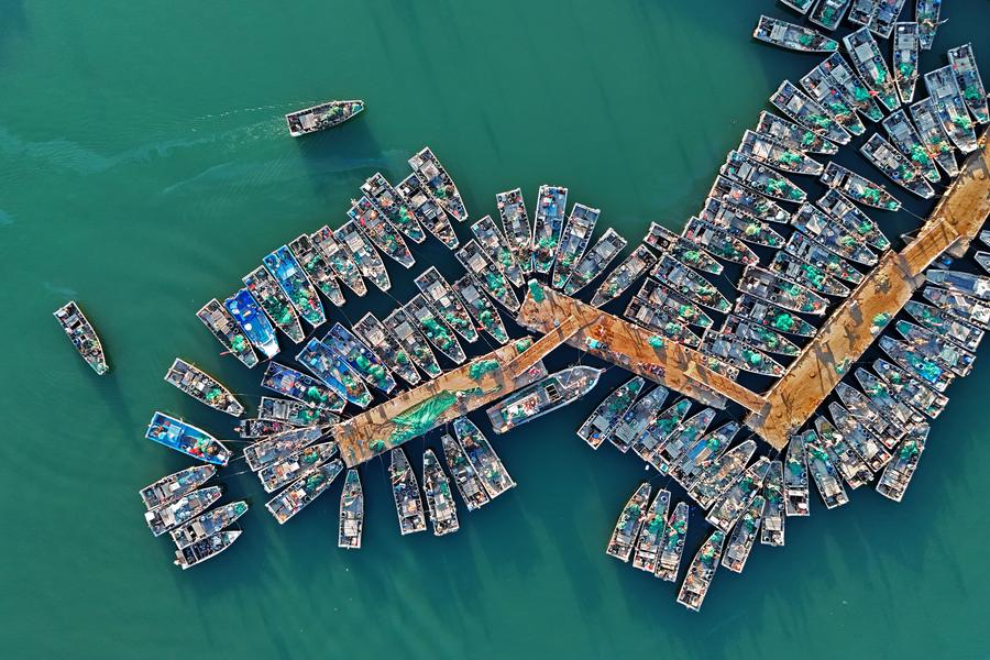 9.3黄渤海区结束伏季休渔 3万余艘渔船争“鲜”出海1.jpeg