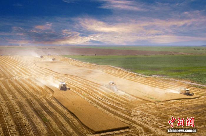 9.11风吹麦浪穗飘香 昭苏45万亩小麦迎丰收1.jpg