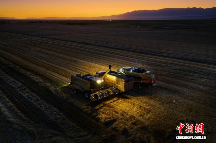 9.11风吹麦浪穗飘香 昭苏45万亩小麦迎丰收3.jpg