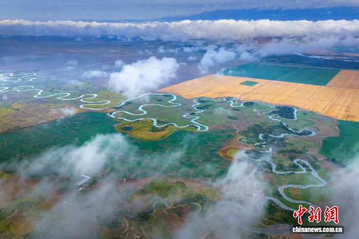 9.11风吹麦浪穗飘香 昭苏45万亩小麦迎丰收7.jpg