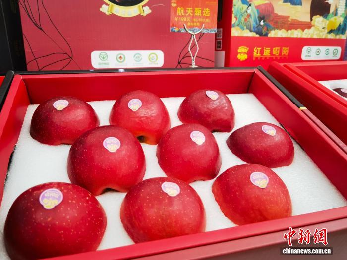 10.11“丑苹果”变“金果子” 云南昭通苹果香飘海内外1.jpg