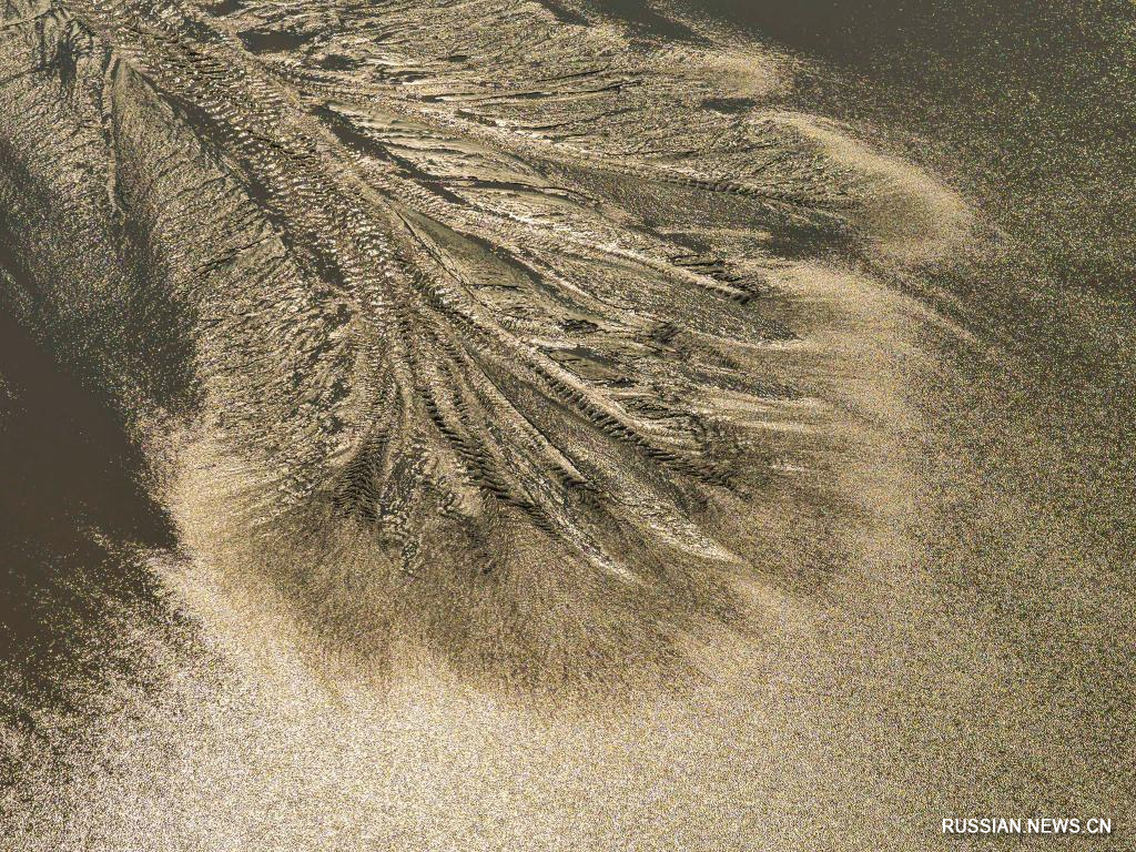 10.15潮落钱塘 “树”生潮汐2.jpg