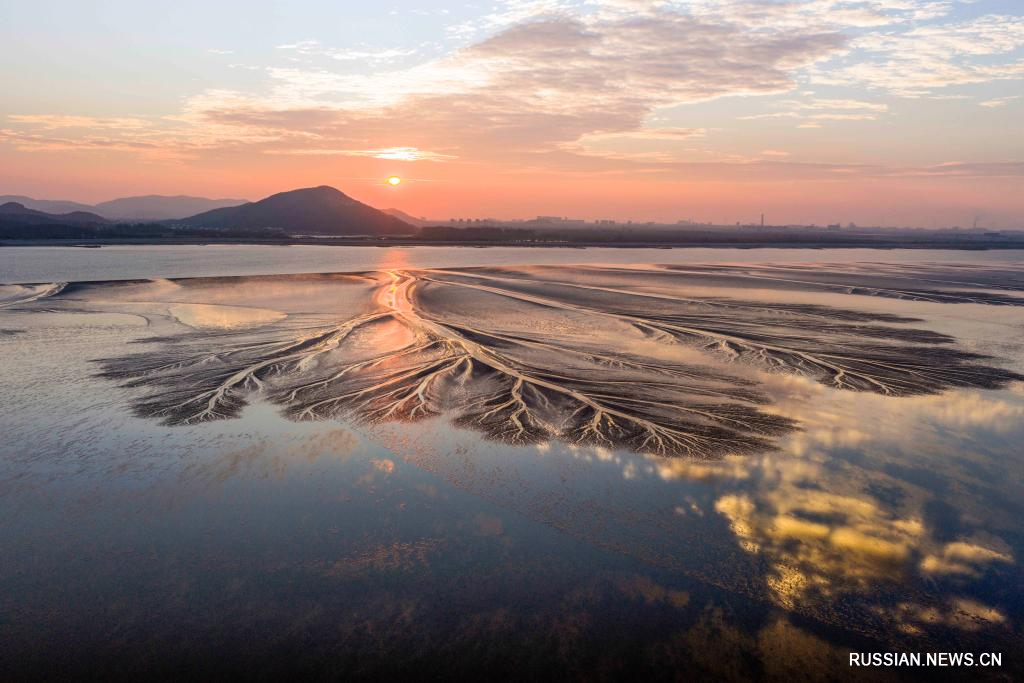 10.15潮落钱塘 “树”生潮汐4.jpg