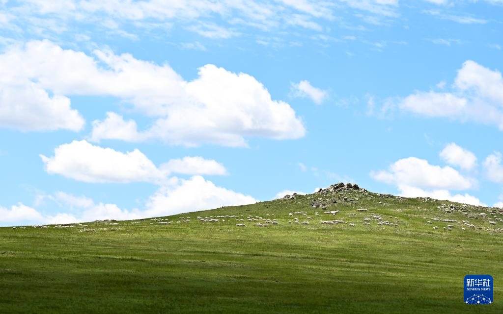 7.23锡林郭勒草原:绿海无垠 云影相随3.png