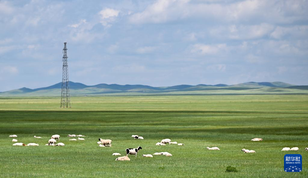 7.23锡林郭勒草原:绿海无垠 云影相随4.png