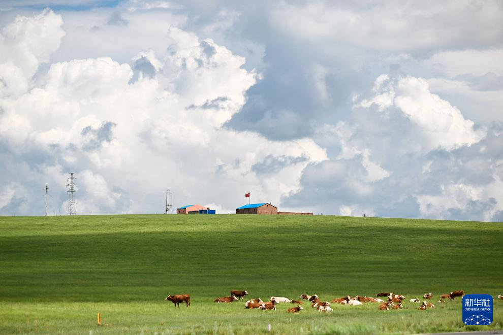 7.23锡林郭勒草原:绿海无垠 云影相随5.png