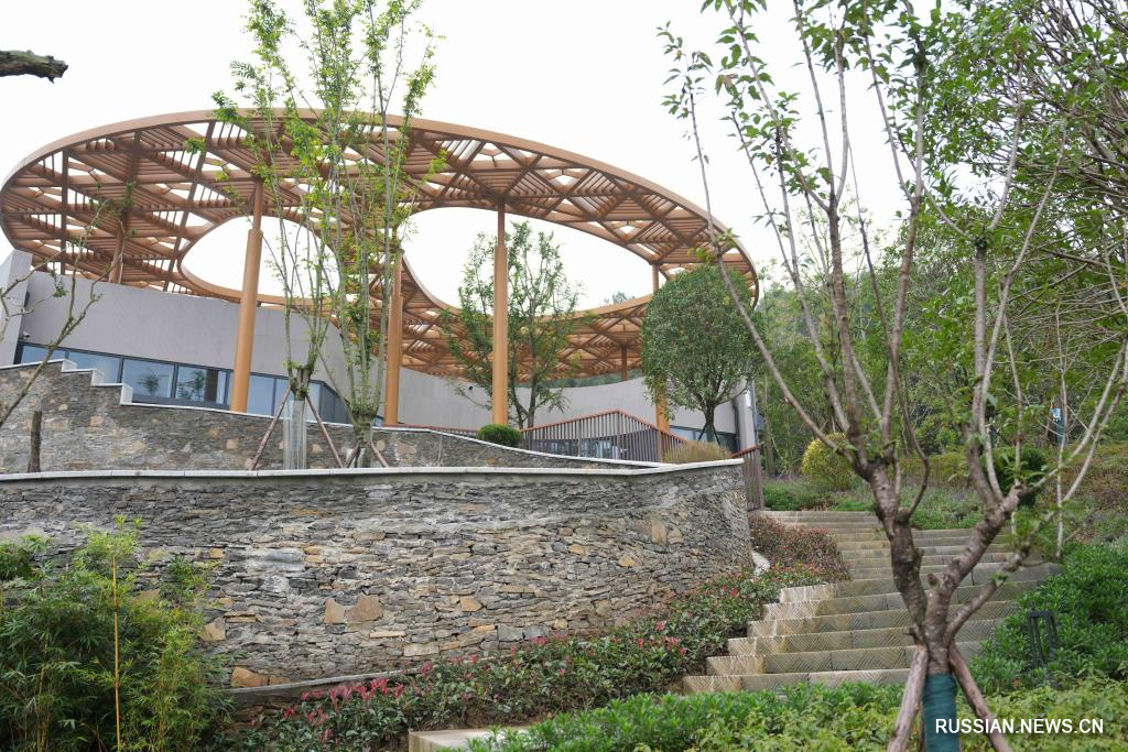 11.6熊猫搬新“家” 我国再添一座大熊猫基地3.jpg