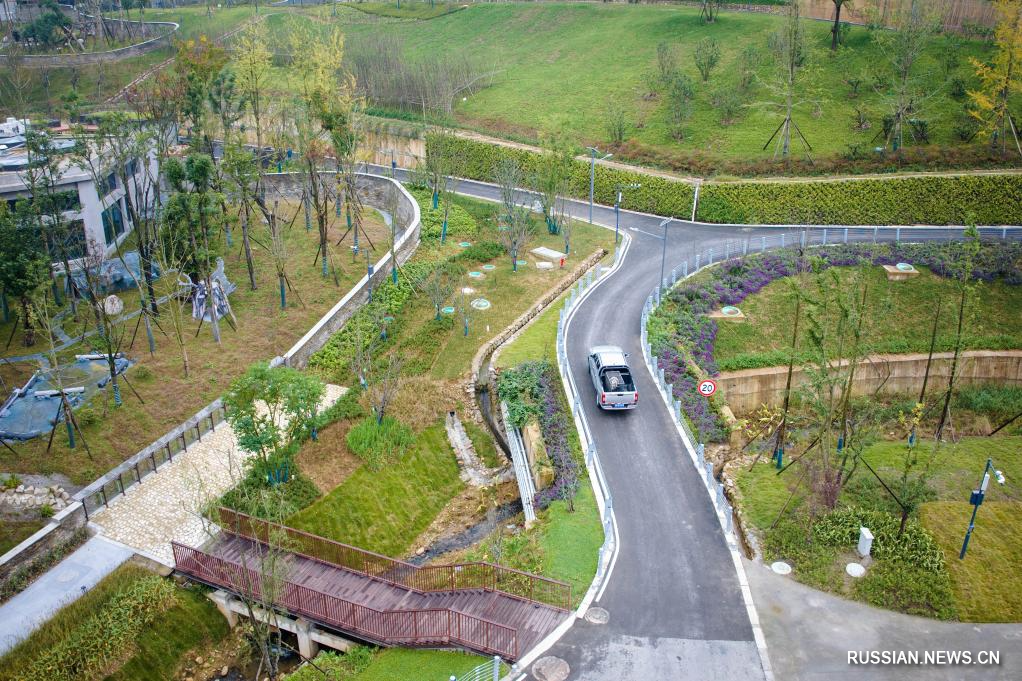 11.6熊猫搬新“家” 我国再添一座大熊猫基地4.jpg