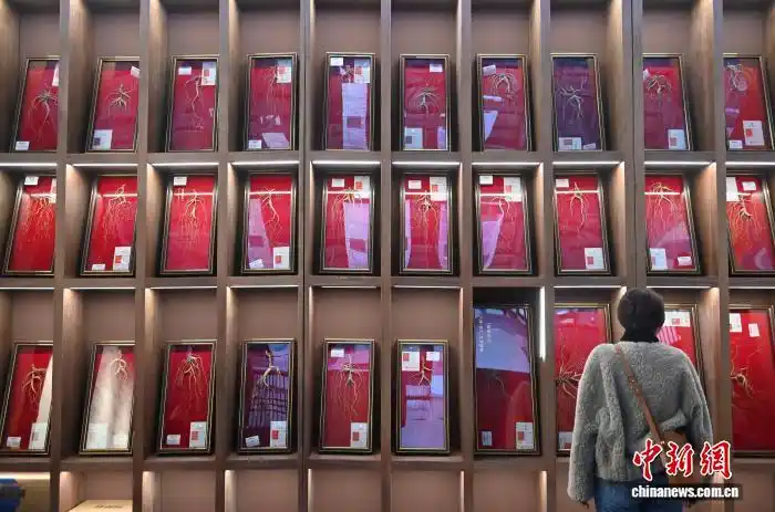 12.9 2025长春国际医药健康产业博览会:人参展区引民众参观3.png