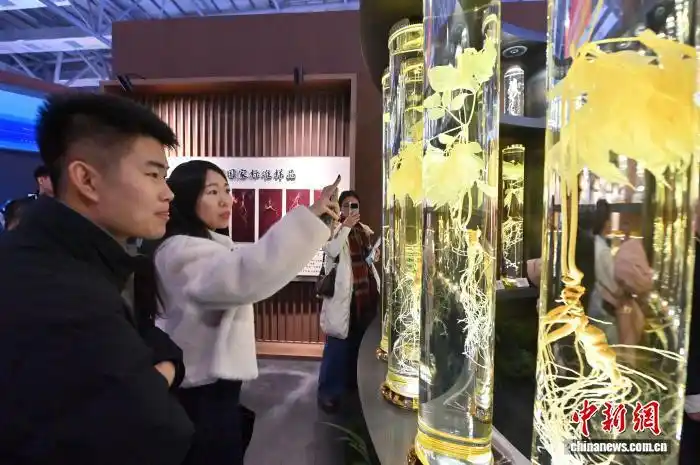 12.9 2025长春国际医药健康产业博览会:人参展区引民众参观4.png