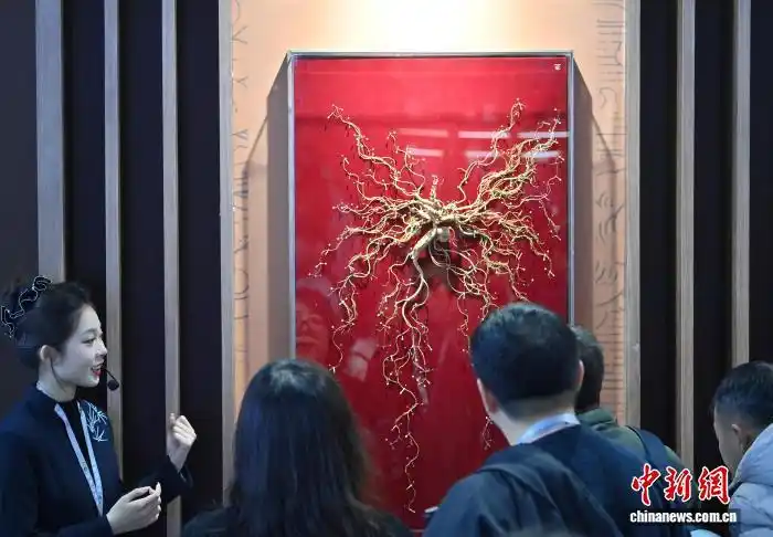 12.9 2025长春国际医药健康产业博览会:人参展区引民众参观1.png