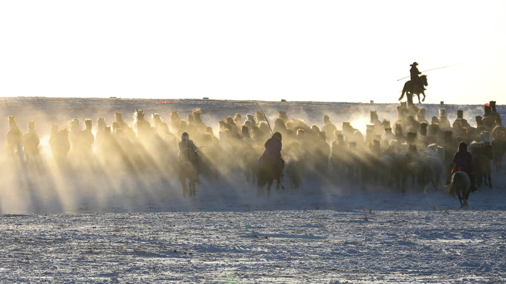 1.30 2026年乌兰布统马文化节 冬季坝上雪地“万马奔腾”3.png