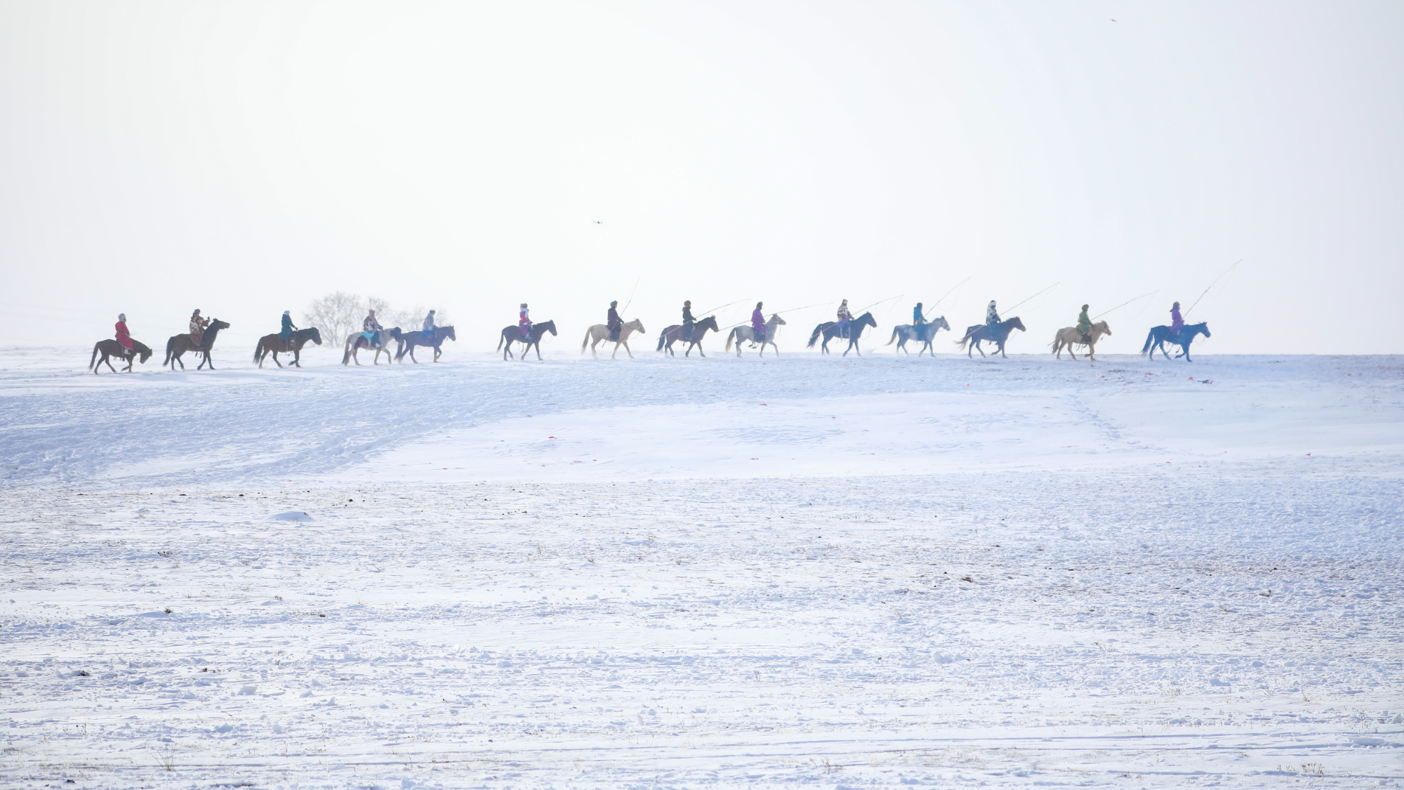 1.30 2026年乌兰布统马文化节 冬季坝上雪地“万马奔腾”5.png