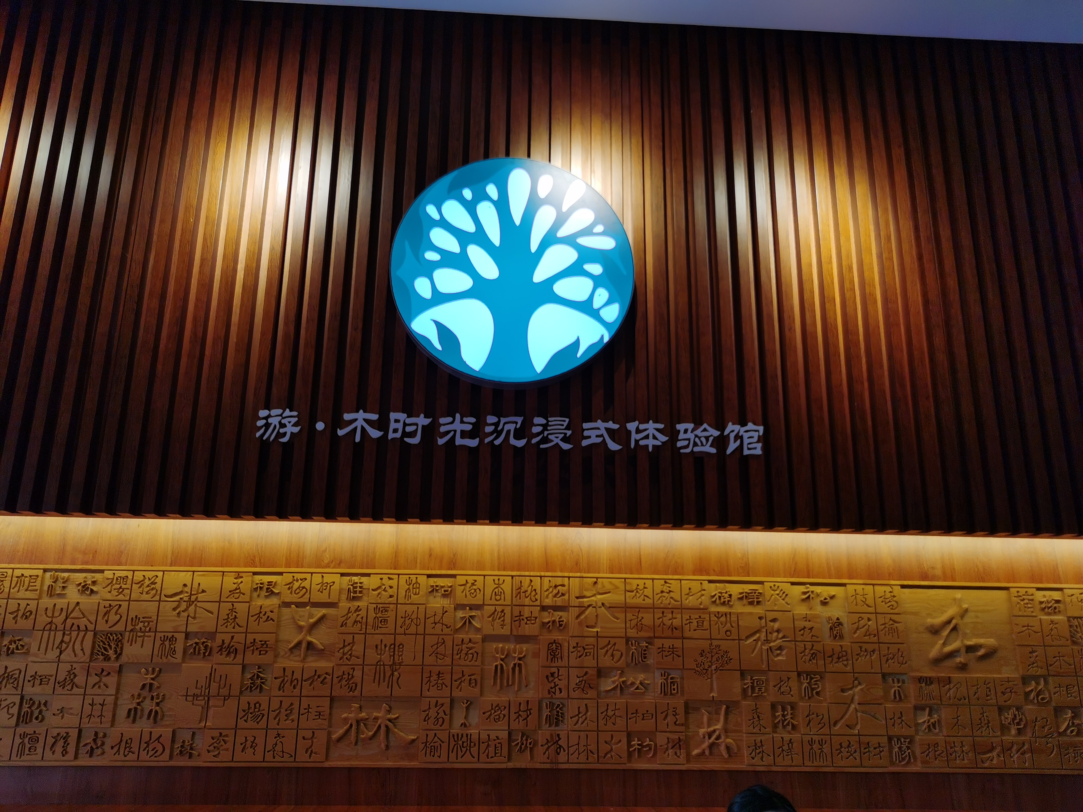游 木时光1.jpg