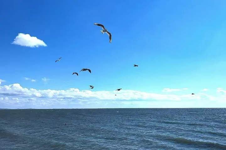 呼伦湖6.jpg