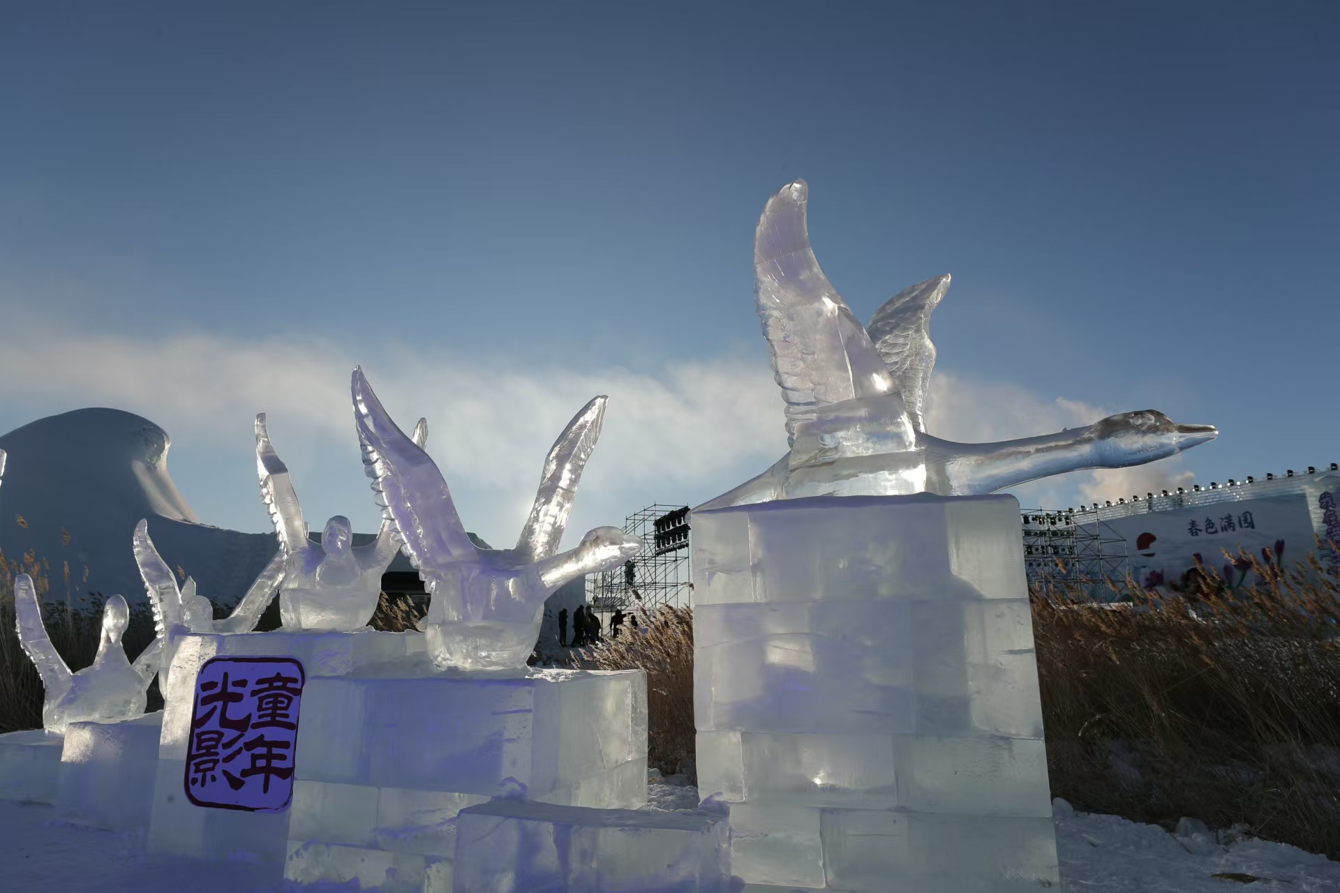 微信图片_20241216104027.jpg