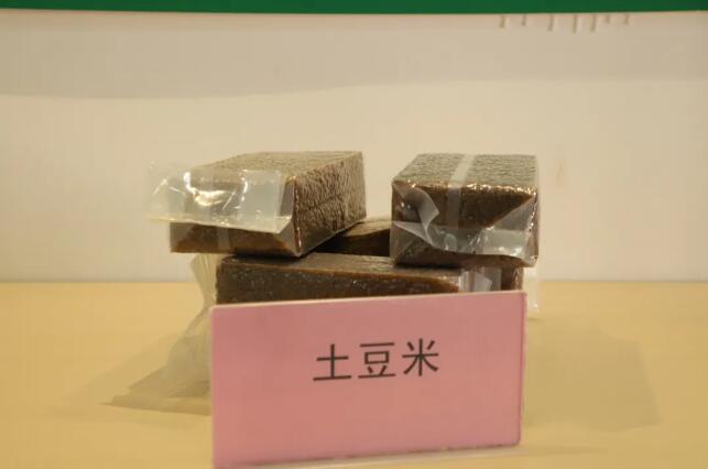 FOREIGN1740634103485PKFJPFSLS6.jpg