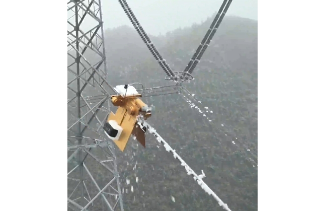 FOREIGN1740553364297C5NX72L6QQ.png