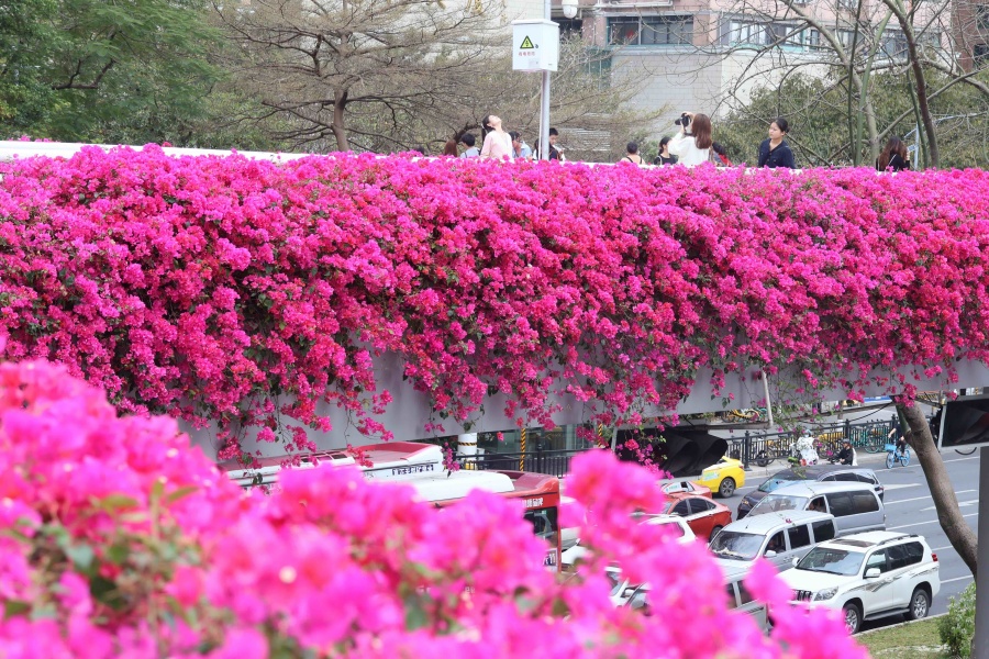 FOREIGN1741142826706A7N7G8EBH4.jpg