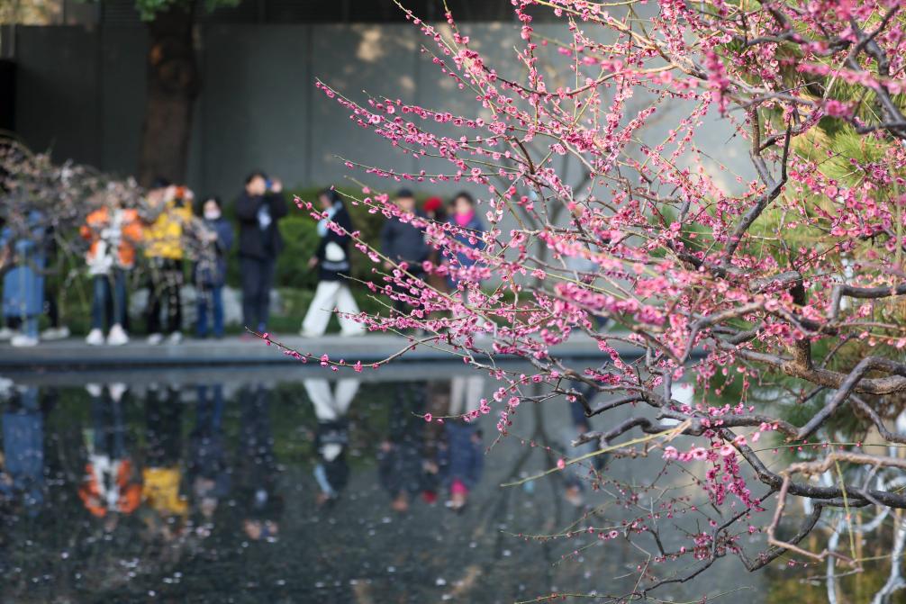 202503094a9a1abe11274b63b421b4764a9d3a84_396614d08ceb4994bdc5ee7829acde30.jpg