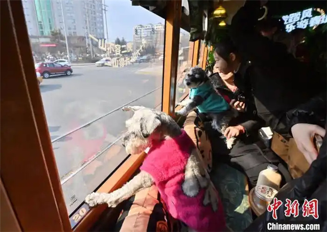 FOREIGN1742200694266J3Q66O1L1P.jpg