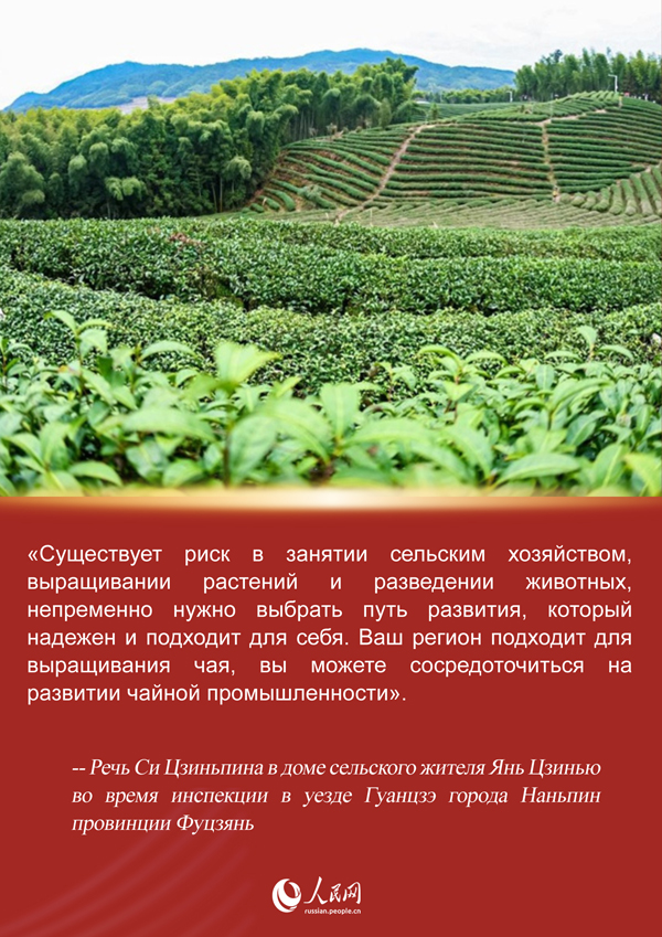 FOREIGN1744942464517CZNXVSUR7A.jpg