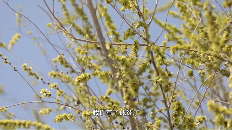5.23一家三代扎根荒漠26年种出万亩林海8.jpg