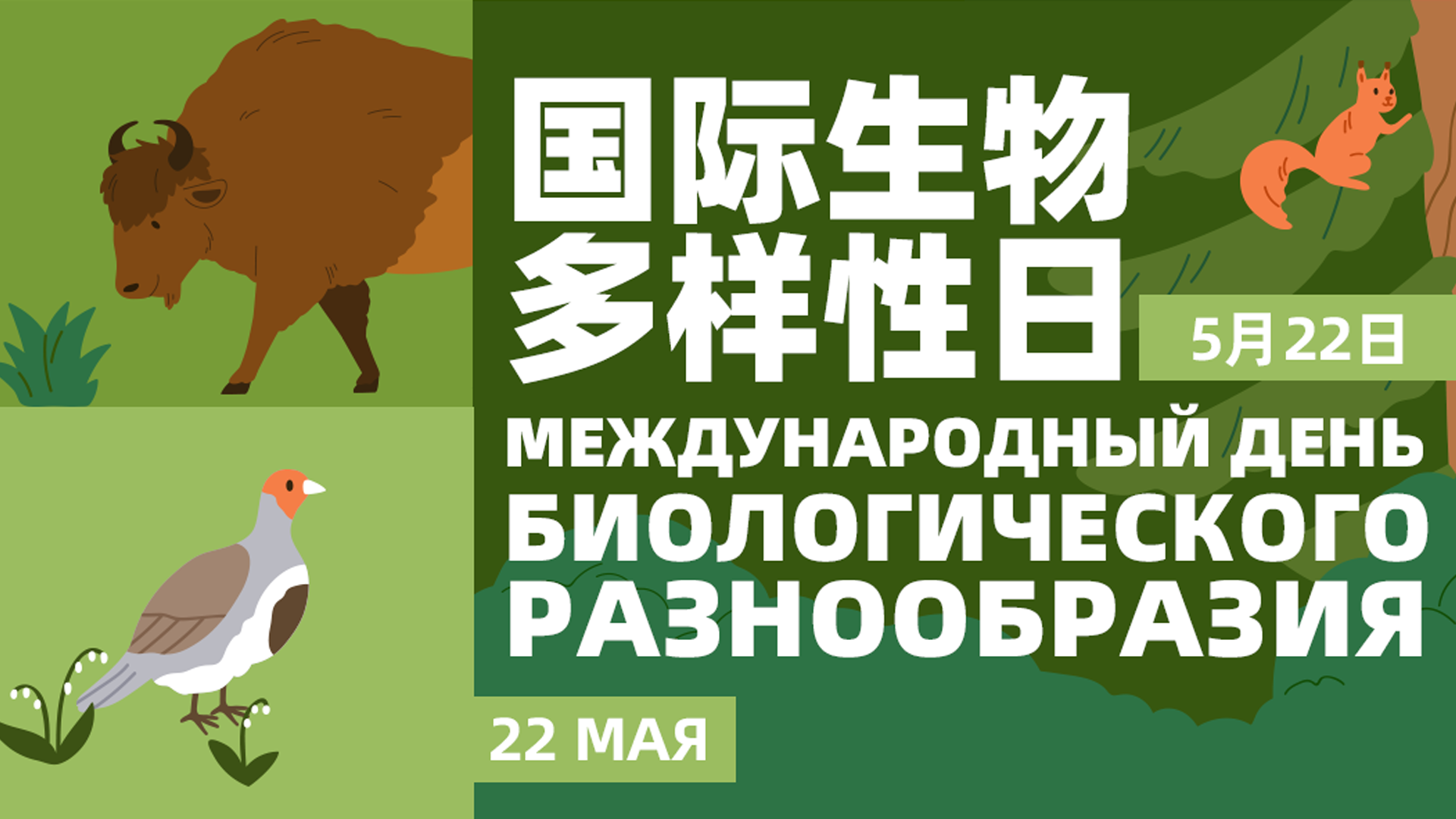 5.23国际生物多样性日1.jpg