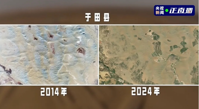 5.26塔克拉玛干沙漠的玫瑰花开了3.png