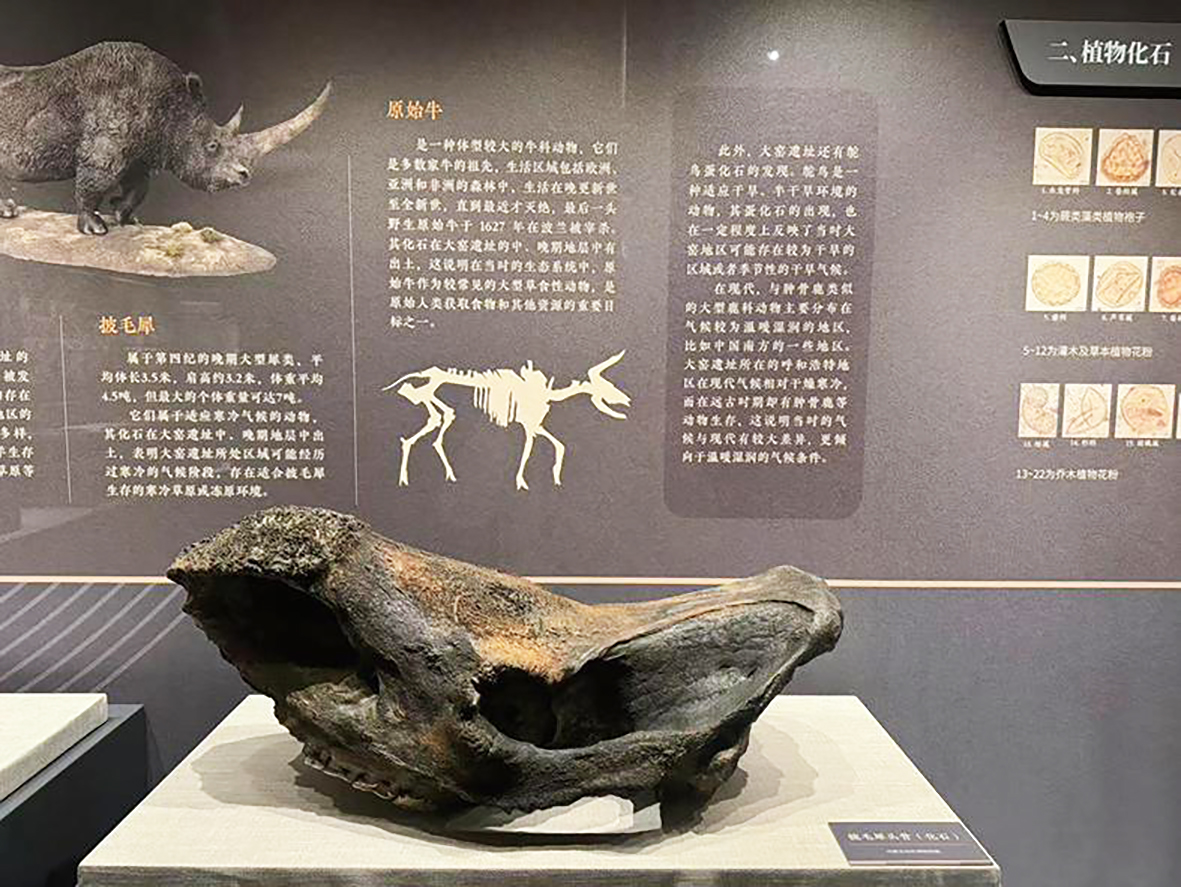 4 大窑旧石器05.jpg