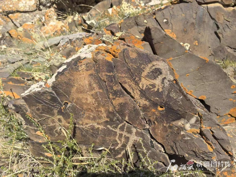 5.29赛里木湖北岸发现2500年前岩画群1.jpg