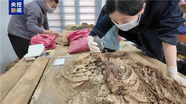 5.30考古成果上新1.jpg