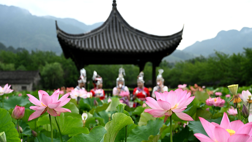 6.4初夏的中国莲花园1.jpg