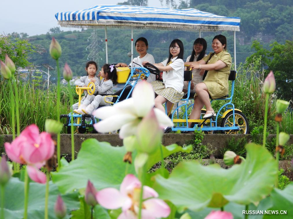6.10花“漾”夏日4.jpg