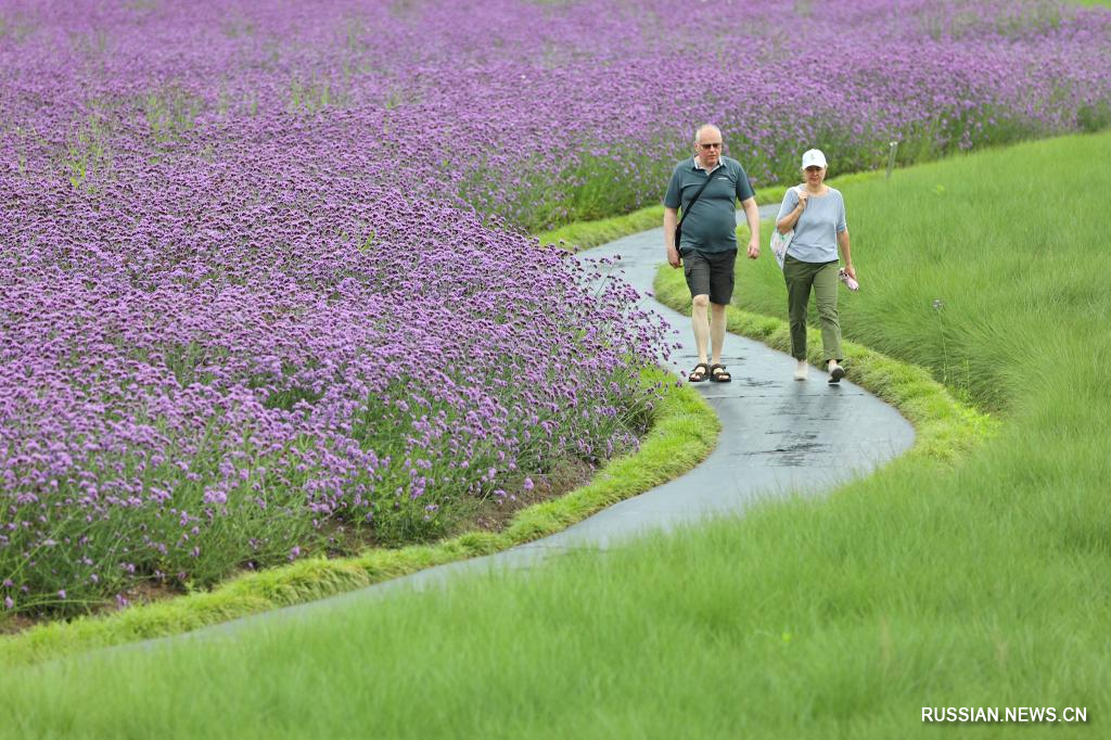 6.10花“漾”夏日3.jpg