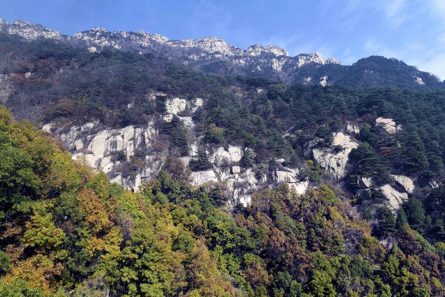 6.11以“山”为媒 探寻文化共鸣 俄罗斯莫斯科州洛布尼亚市代表团走进泰山风景区.jpg