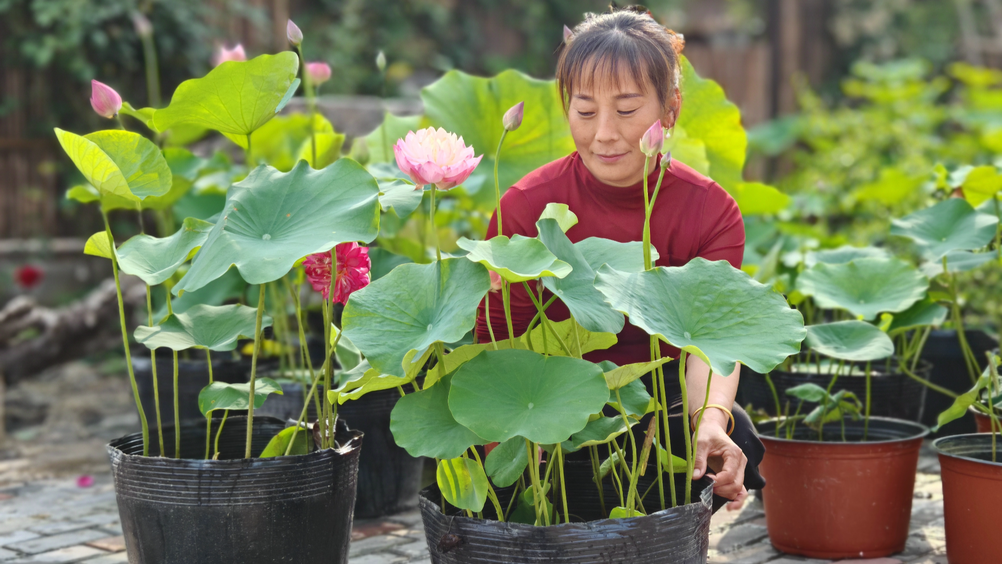 6.12年轻女企业家的传奇之路：从荒地到家乡时尚照相馆的蜕变2.jpg