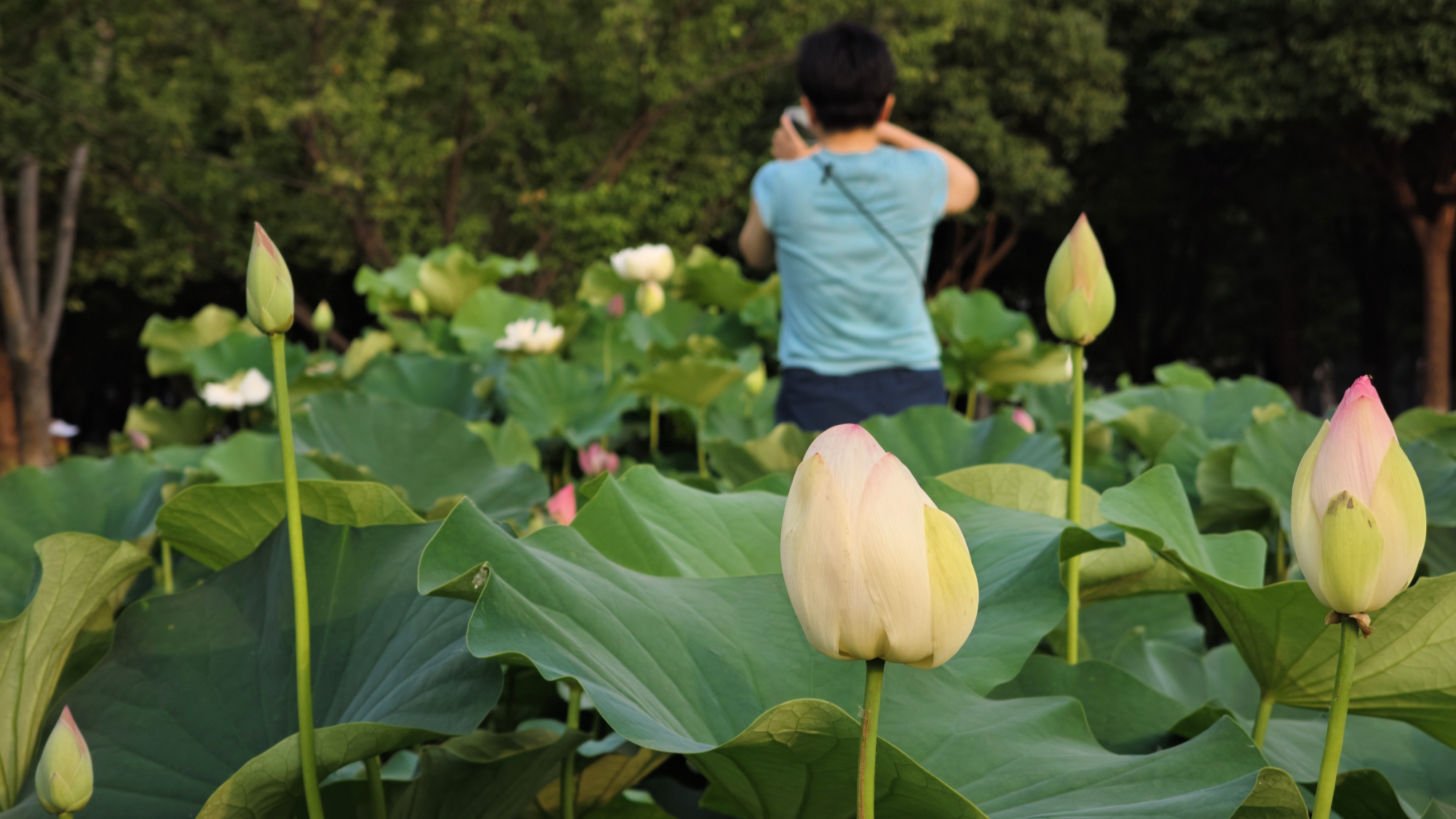 6.12年轻女企业家的传奇之路：从荒地到家乡时尚照相馆的蜕变3.jpg