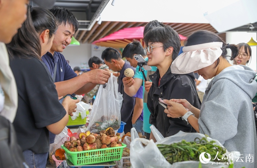 7.7云南南华野生菌上市热销 年产值破76亿元6.jpg