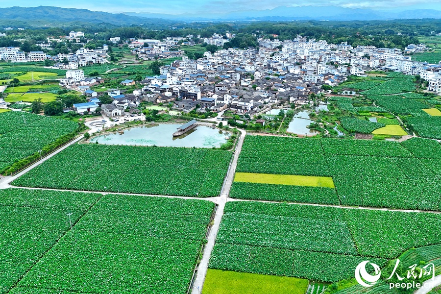 7.17行进中国丨千年古村“让”出好前景11.jpg