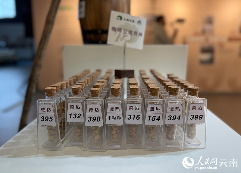 7.25上半年云南咖啡出口34个国家和地区4.jpg