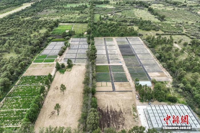 8.8探访中国首个高寒荒漠区沙生植物种质资源库1.jpeg