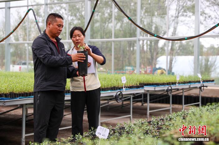 8.8探访中国首个高寒荒漠区沙生植物种质资源库9.jpeg
