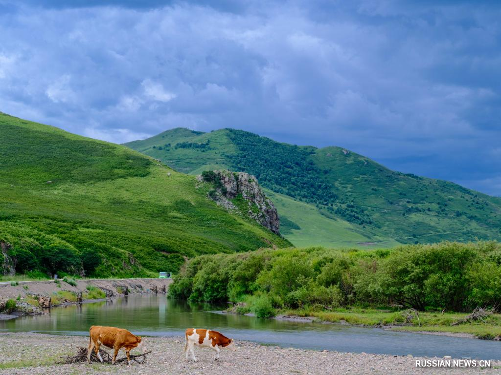 8.11内蒙古草原八月如画的风景2.jpg