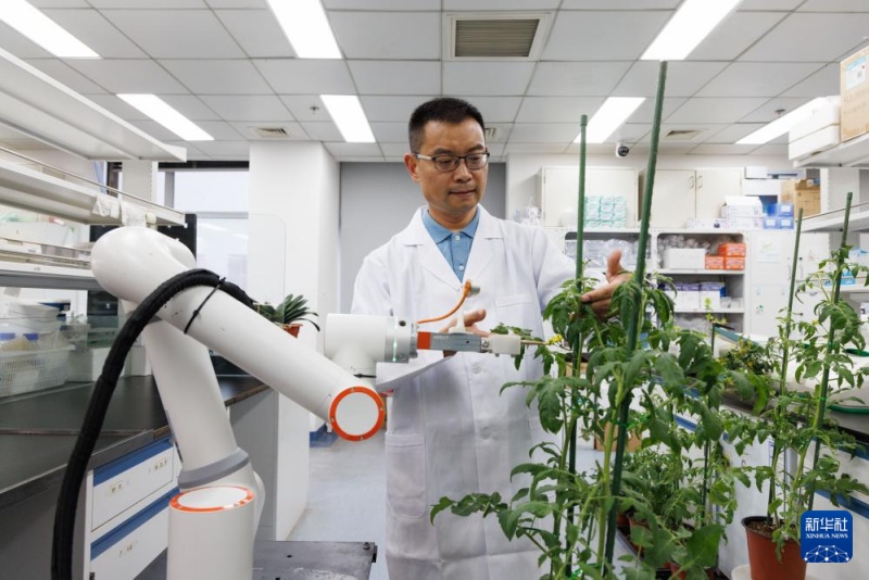 8.14我国研制出世界首台智能育种机器人“吉儿” 取得重要突破4.jpg