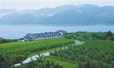 8.20边城见闻：在“北国山城”品“东方波尔多”2.jpg