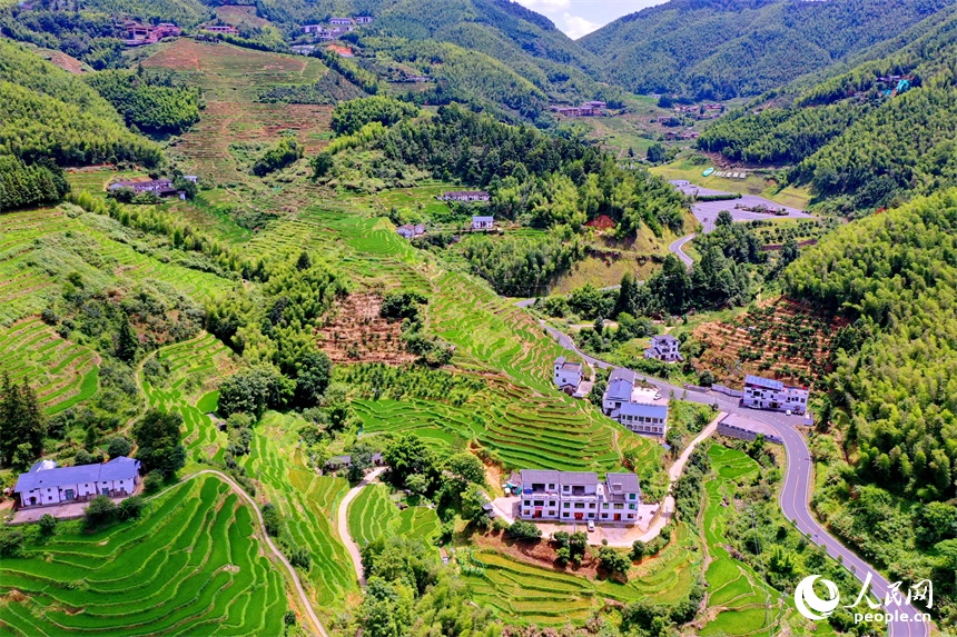 9.2江西崇义：初秋梯田景如画6.jpg