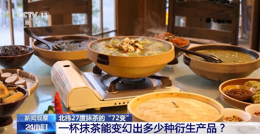 9.15北纬27度抹茶的“72变” 一杯抹茶带动11万茶农增收4.jpg