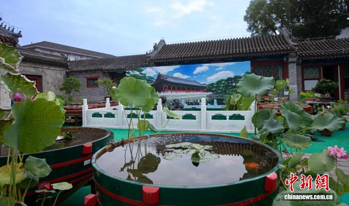 9.18北京：恭王府博物馆特展展出600余尾宫廷金鱼5.png