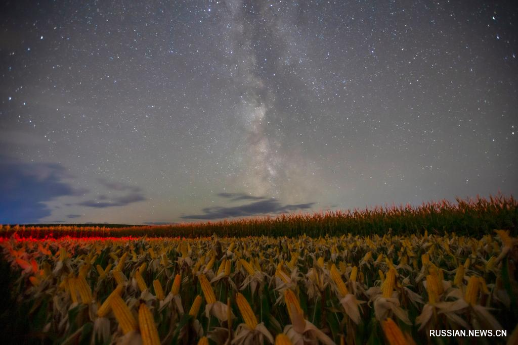 9.23“北大仓”黑龙江：累累硕果“约会”点点繁星3.jpg